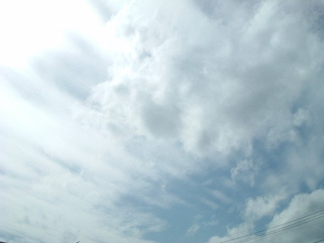 20060228-1256.jpg