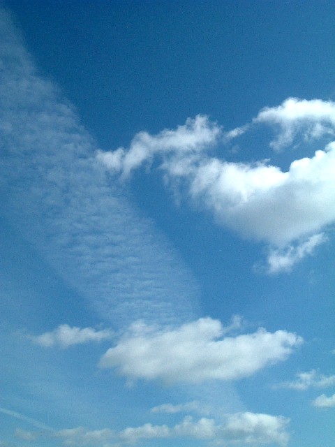 20060218-1148.jpg