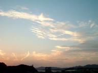2005092902