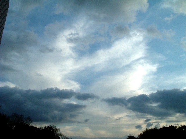 20070113-1627.jpg