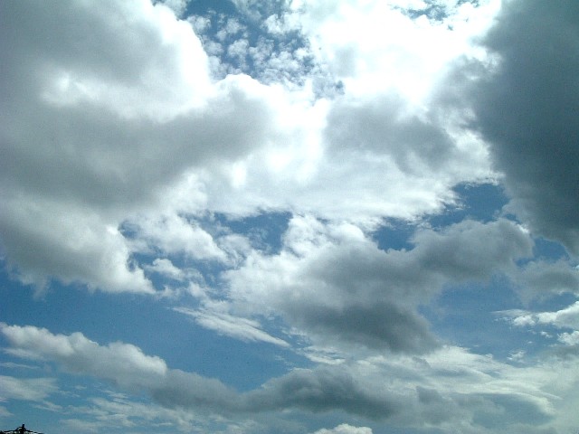 20060819-1025.jpg