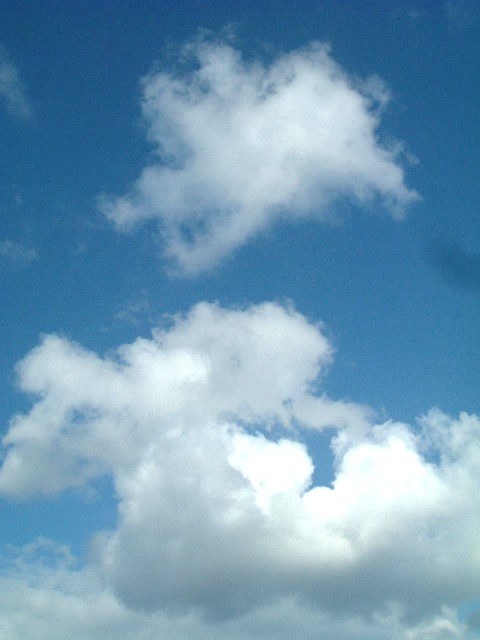 20070108-1423.jpg