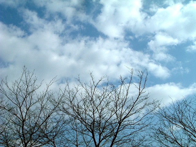 20070125-1208.jpg