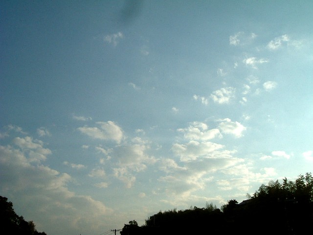 20061028-1607.jpg