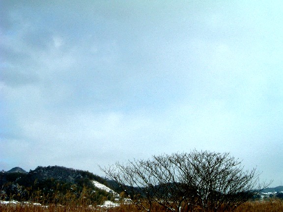 20060107-1422.jpg