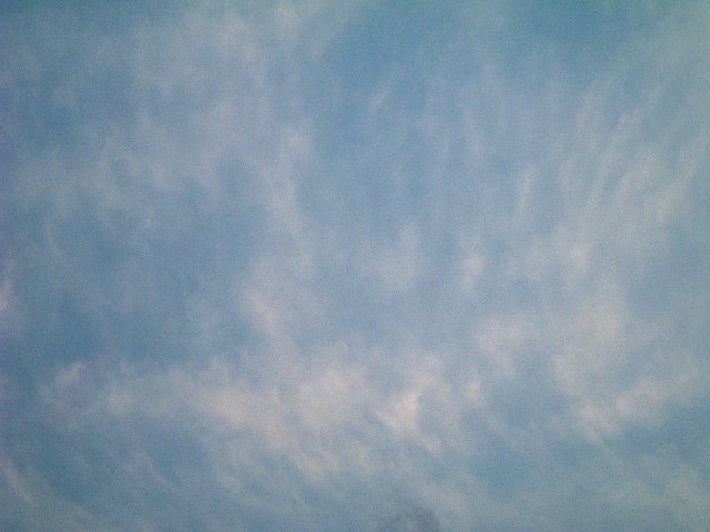 20060329-1804.jpg