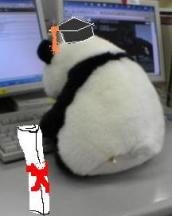 panda graduation