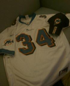 miami dolpins jersey