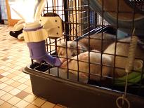 一緒に飲もう！