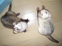 大きさくらべ・１