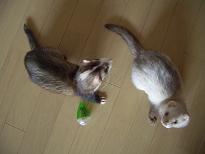 大きさくらべ・２