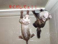 出して！