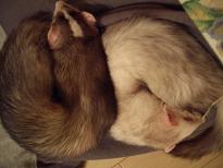 ○×２　～２～