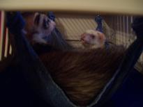 場所の取り合い