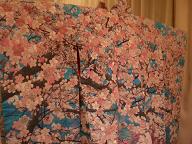 sakura 003.jpg