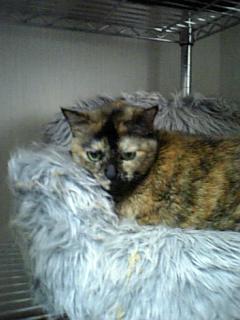 060404_153259_M.jpg