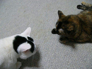 P1020402.JPG