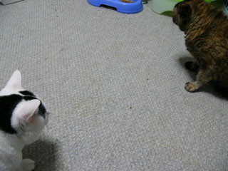 P1020410.JPG