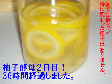 ゆず酵母2日目