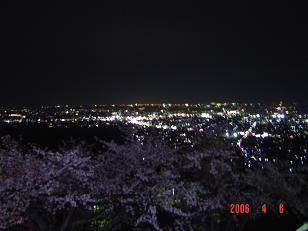 夜景＆桜