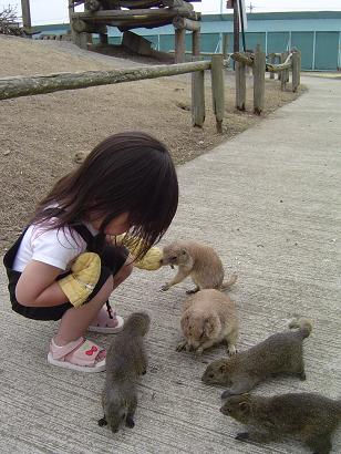 栃木県 真岡観光リス村 Vie Quotidienne 楽天ブログ