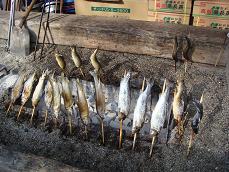 焼き魚