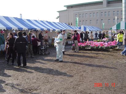 農業祭　風景