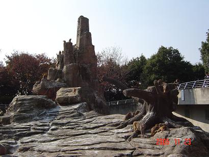 サル山