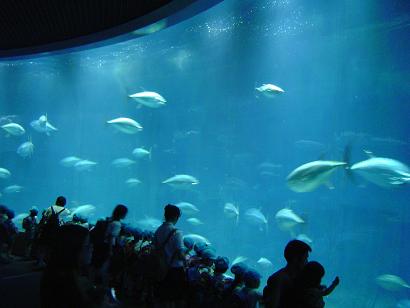 葛西臨海公園水族館