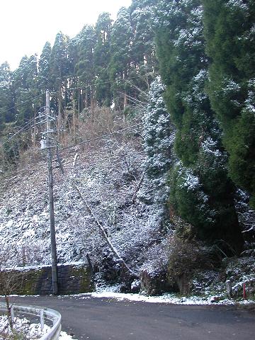 雪・路肩