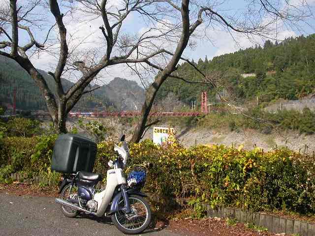 カブと橋