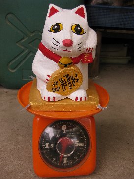 座布団セットで１キロ弱