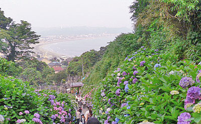 成就院から由比ヶ浜を眺める