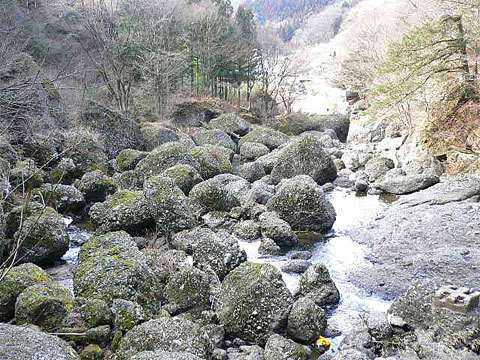 吊り橋からの風景