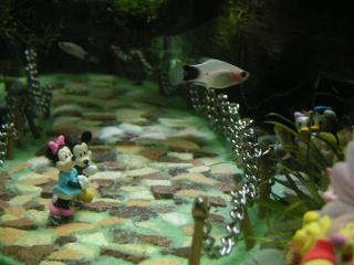 PICT1159.JPG