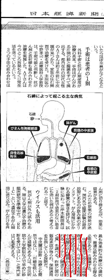 20110304NIKKEI-SMRP2 のコピー.jpg