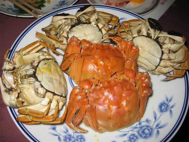 IMG_0330.jpg