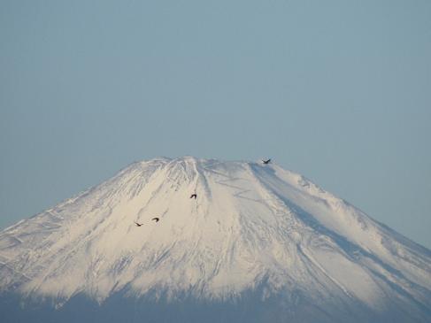 富士と鳥
