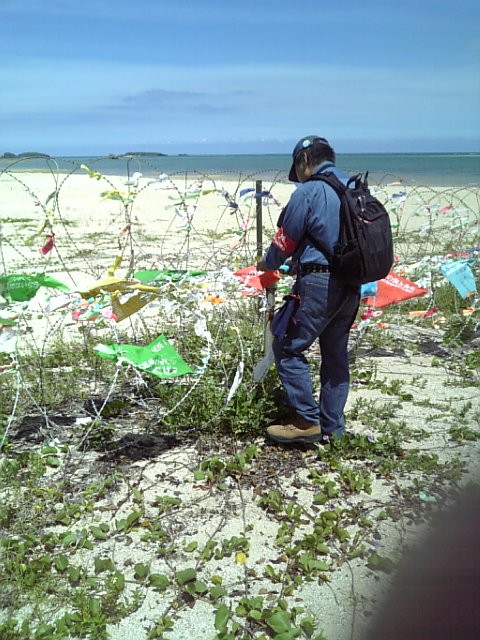 辺野古の浜