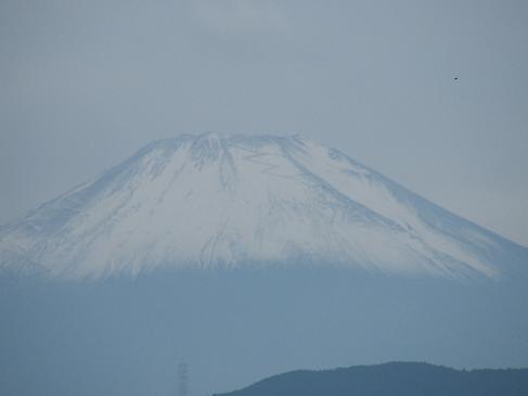 １１月１１日富士山