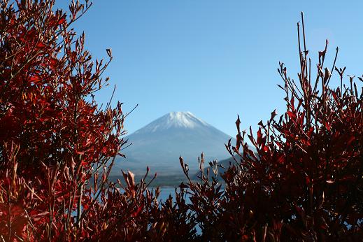 富士山１２月１日３