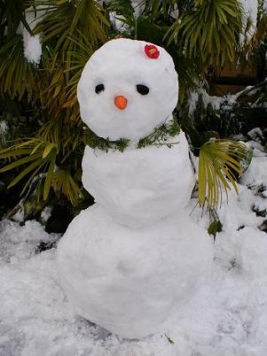 南国の雪だるま