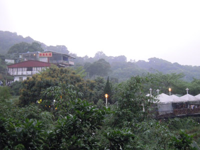猫空風景.jpg