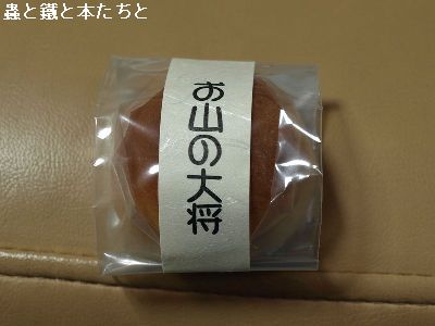 お山の大将