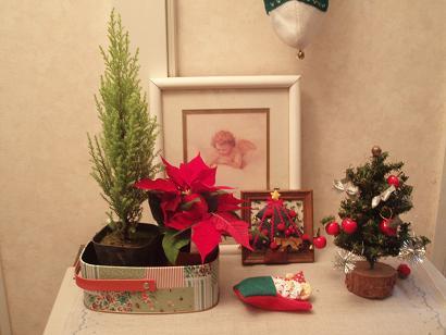 Christmas 2009  ポインセチア.JPG
