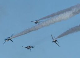 10389539_840526259_195large[1].jpg