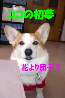 07お正月4