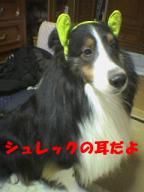 シュレックの耳