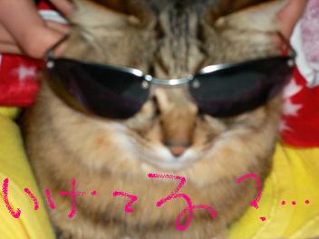 意地悪されたよ。。