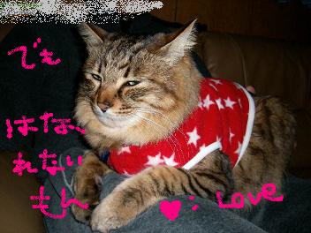 負けないから・・